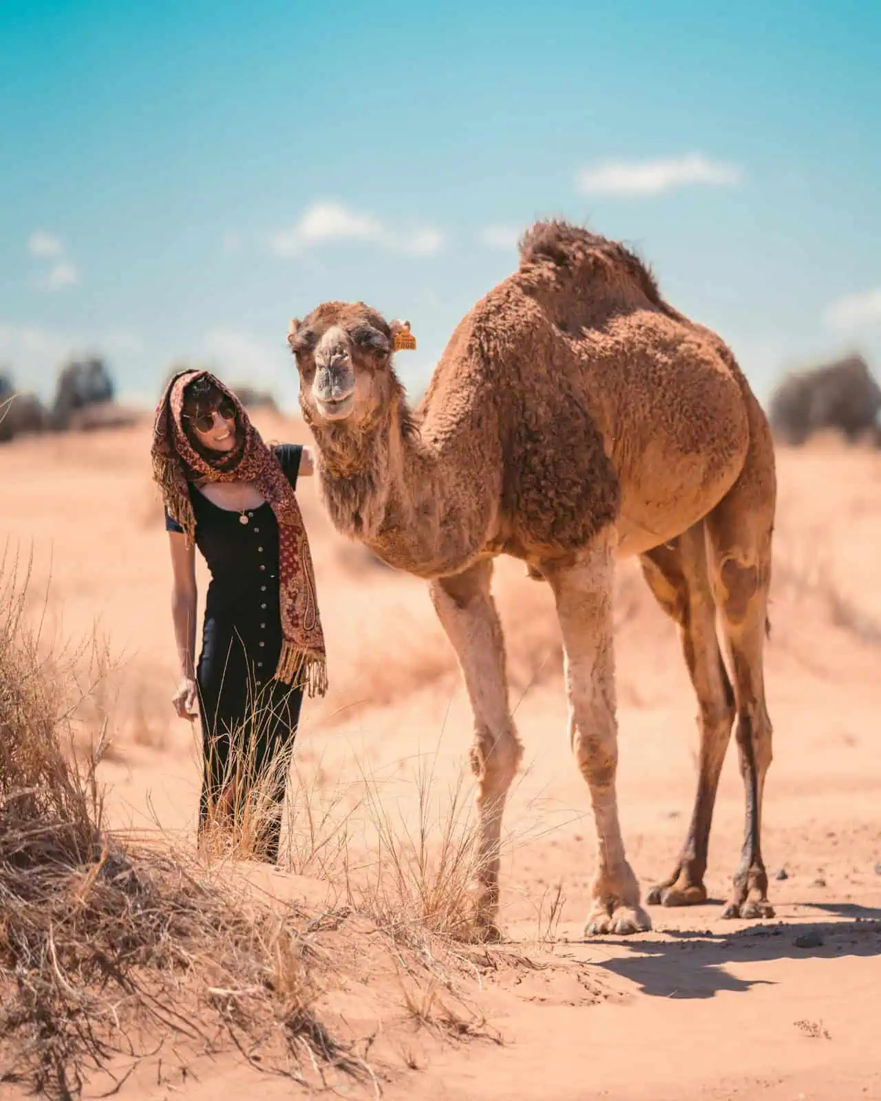Viajes personalizados por todo marruecos (2)